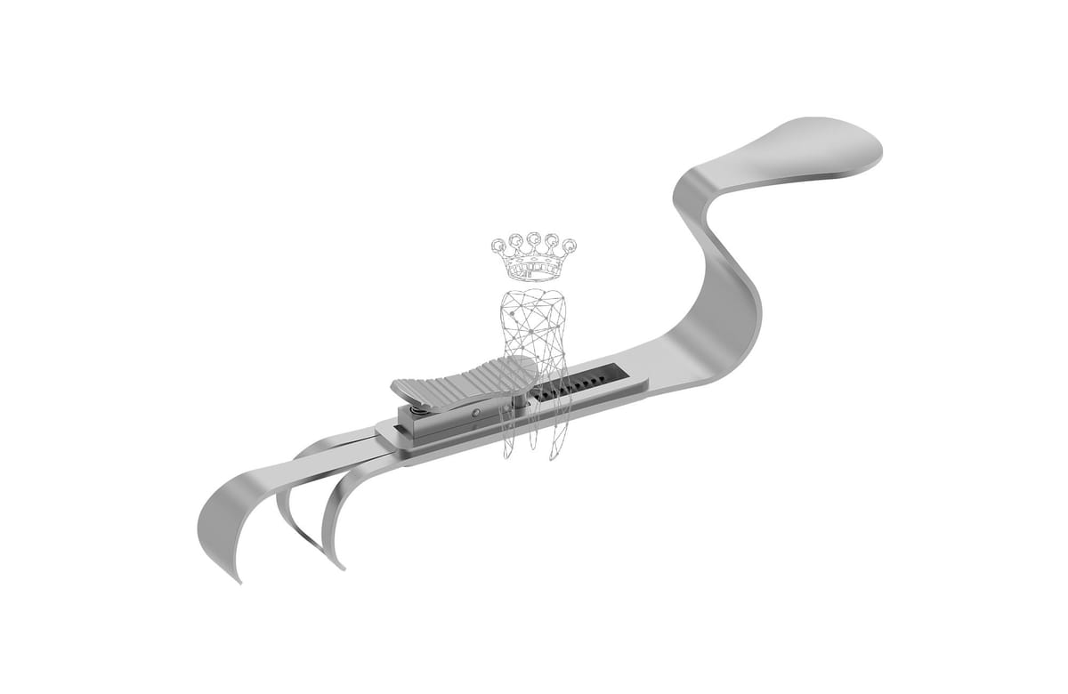 Double Hook Retractor schmal – Carl Martin, Cheek Retractors - Wound Retractors