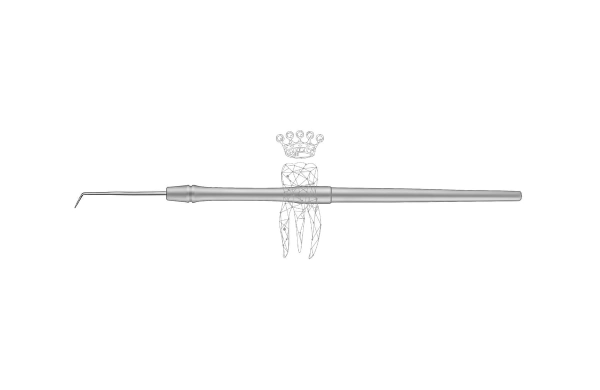 Ligaturen-Sonde starr nach Dr. Ecker 6.0mm massiv Griff – Carl Martin, Sonden
