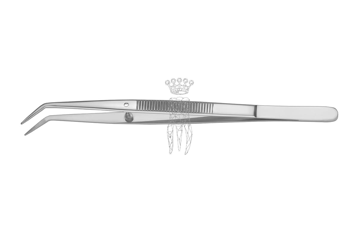 Pinzette gerieft College mit Stopstift – Carl Martin, Tweezers