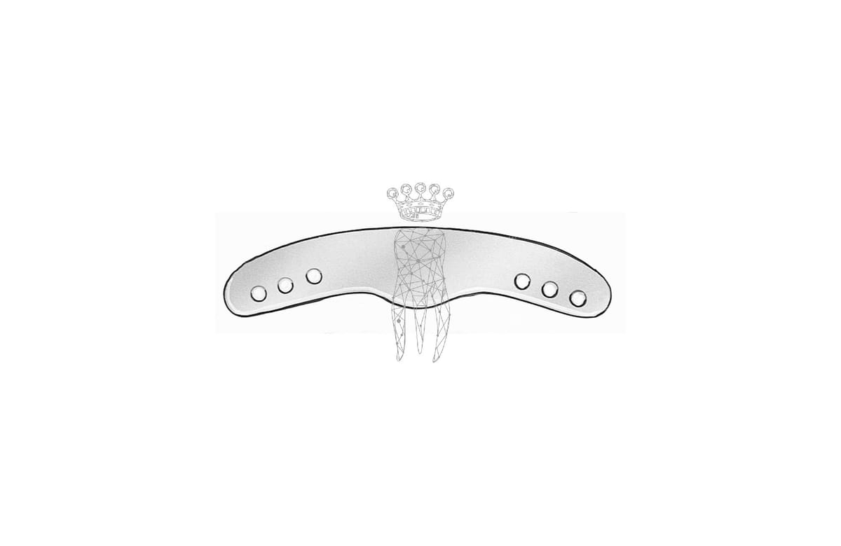 Matrizenband Ivory 12 Stück – Carl Martin