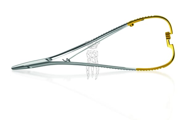 Nadelhalter Lichtenberg 17cm TC
