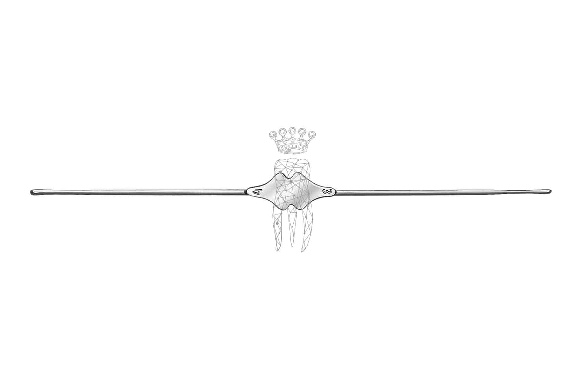 Myrtenblattsonde 1.4mm Bowman / Fistelsonde – Carl Martin, Sonden