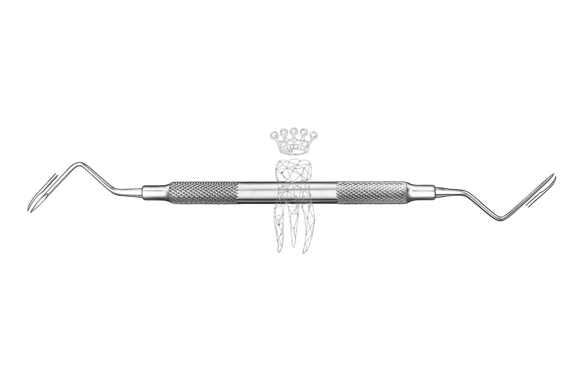 Wurzelsplitterheber 1.5mm gezahnt – Carl Martin, Root Elevators