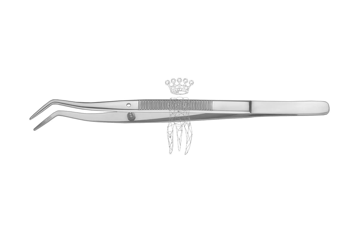 Pinzette gerieft Meriam – Carl Martin, Tweezers