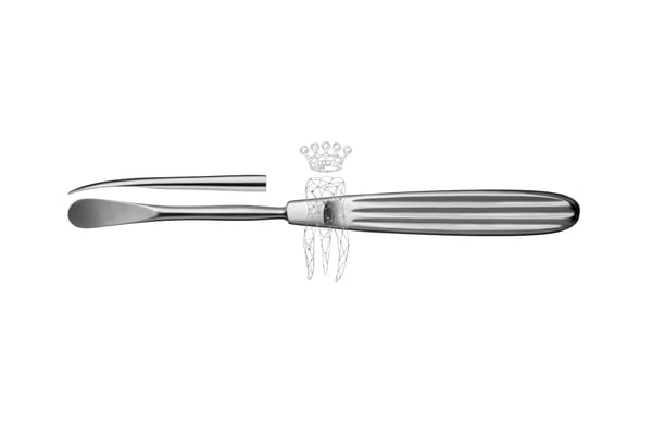 Raspatorium Obwegeser 11mm