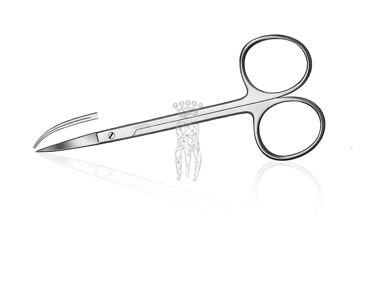 Zahnfleischschere gebogen 12cm mit grossen Ringen – Carl Martin, Gingivectomy Knives - Gum Scissors