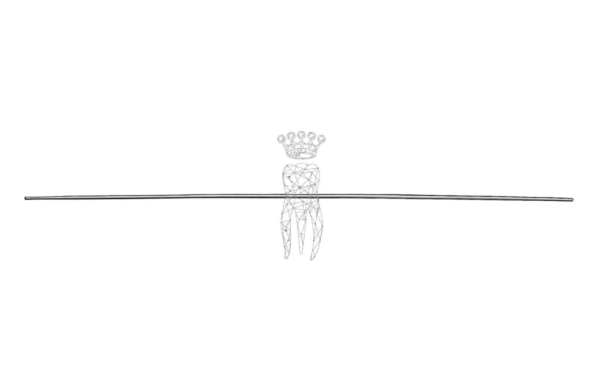 Fistelsonde, fein – Carl Martin, Surgical Aspirating Tips