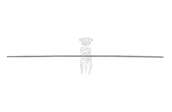 Fistelsonde, fein