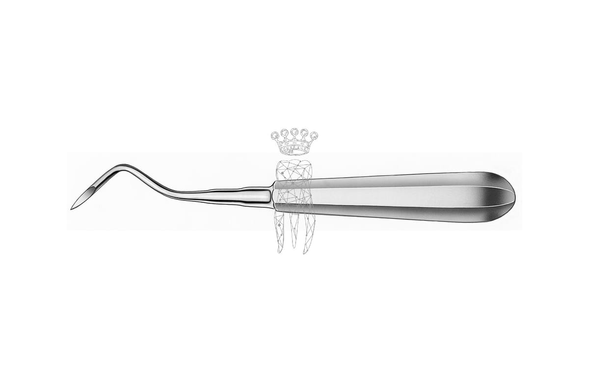Wurzelrestentferner Heidbrink 2.5mm gebogen – Carl Martin, Root Elevators
