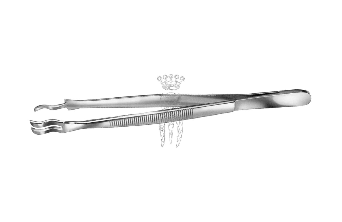 Instrumenten Haltepinzette RS – Carl Martin, Tweezers