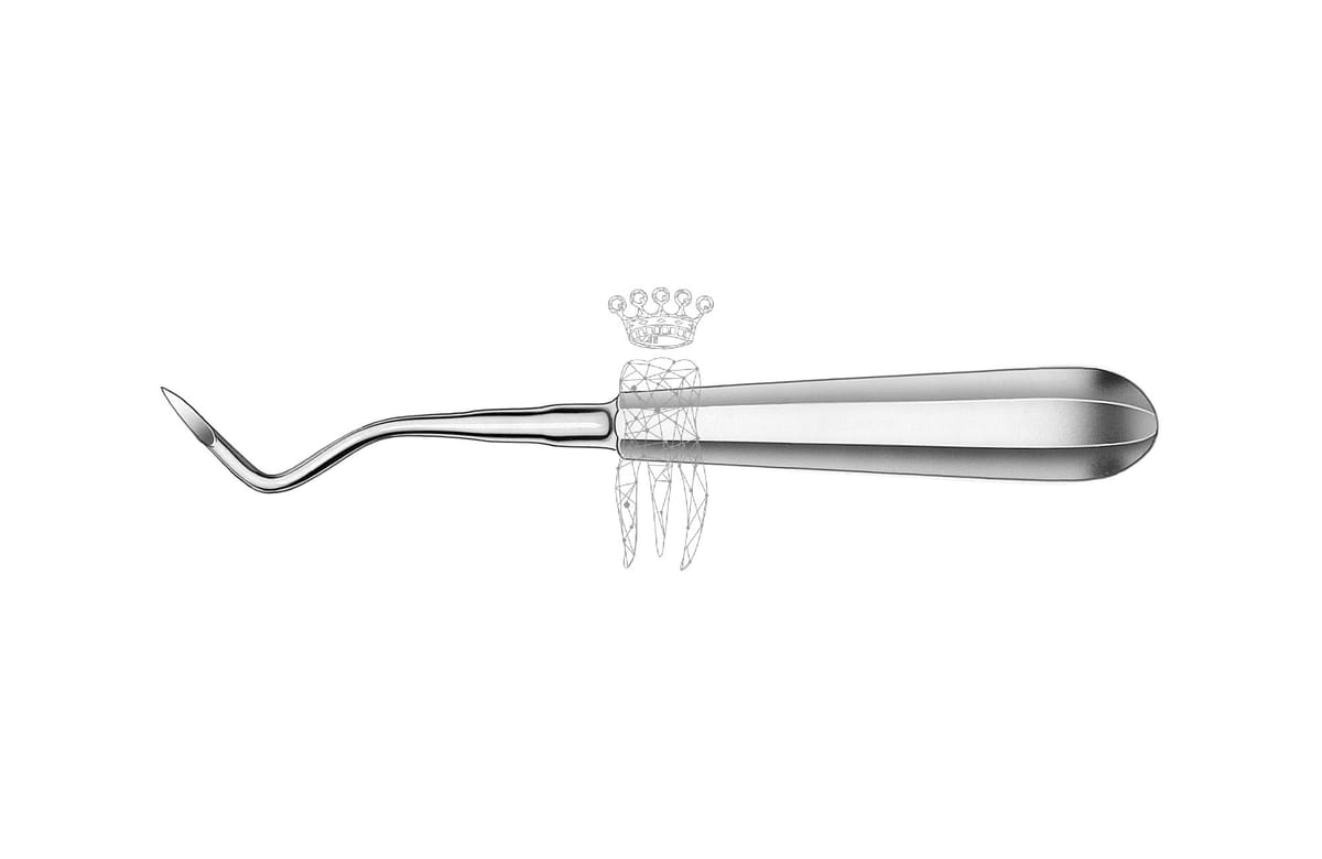 Wurzelrestentferner Heidbrink 2.5mm gebogen – Carl Martin, Root Elevators