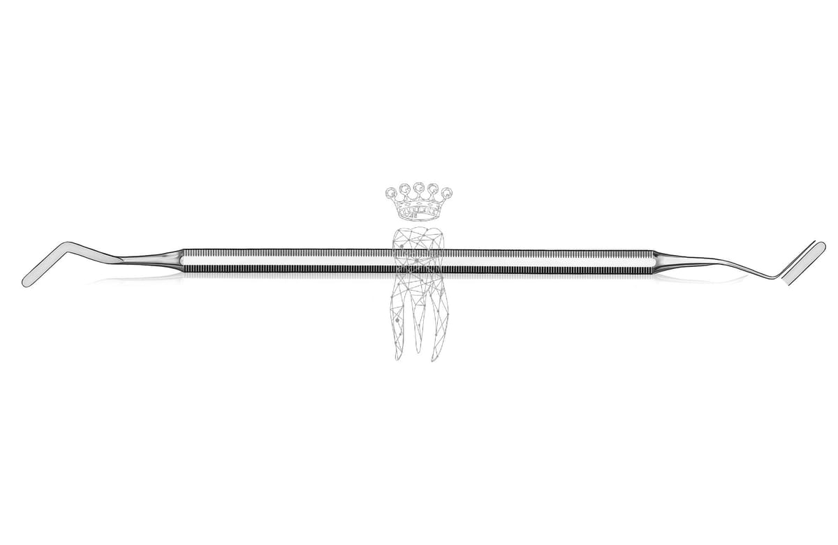 Heidemannspatel - mittel 2.5mm – Carl Martin, Heidemann Spatulas