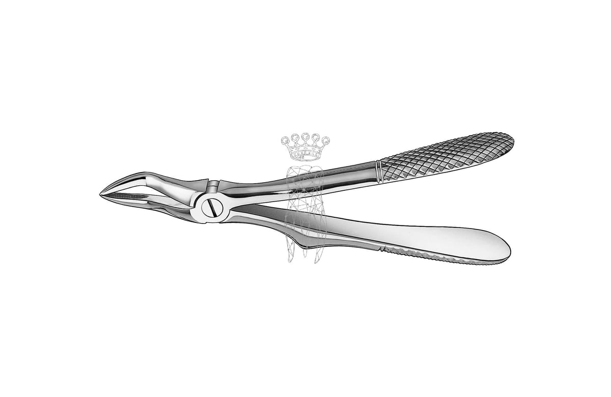 Kinderzahnzange Haftprofil ohne Feder OK Wurzeln – Carl Martin, Pediatric Extraction Forceps