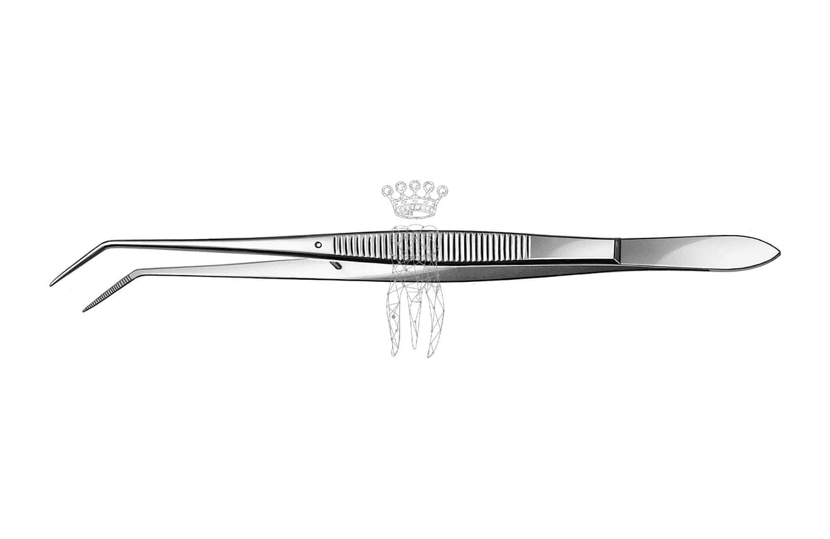 Pinzette gerieft – Carl Martin, Tweezers