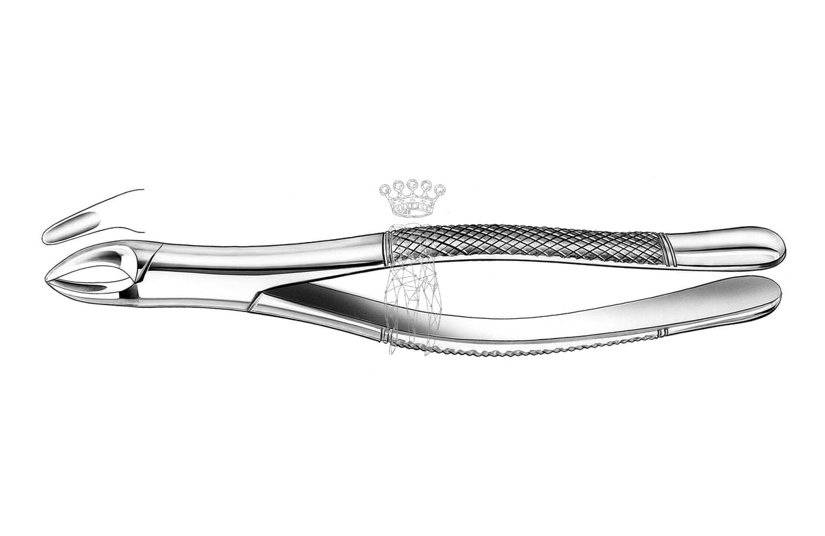 Zahnzange amerikanische Form OK Prämol.Schneidez.Wurzeln – Carl Martin, Extraction Forceps Upper Jaw