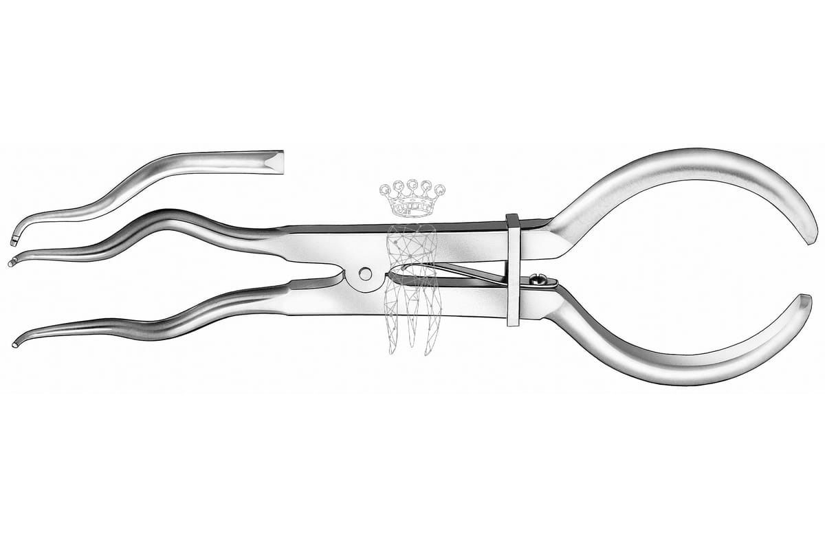 Kofferdamklammerzange Brewer – Carl Martin, Rubber Dam Forceps / Rubber Dam Punches