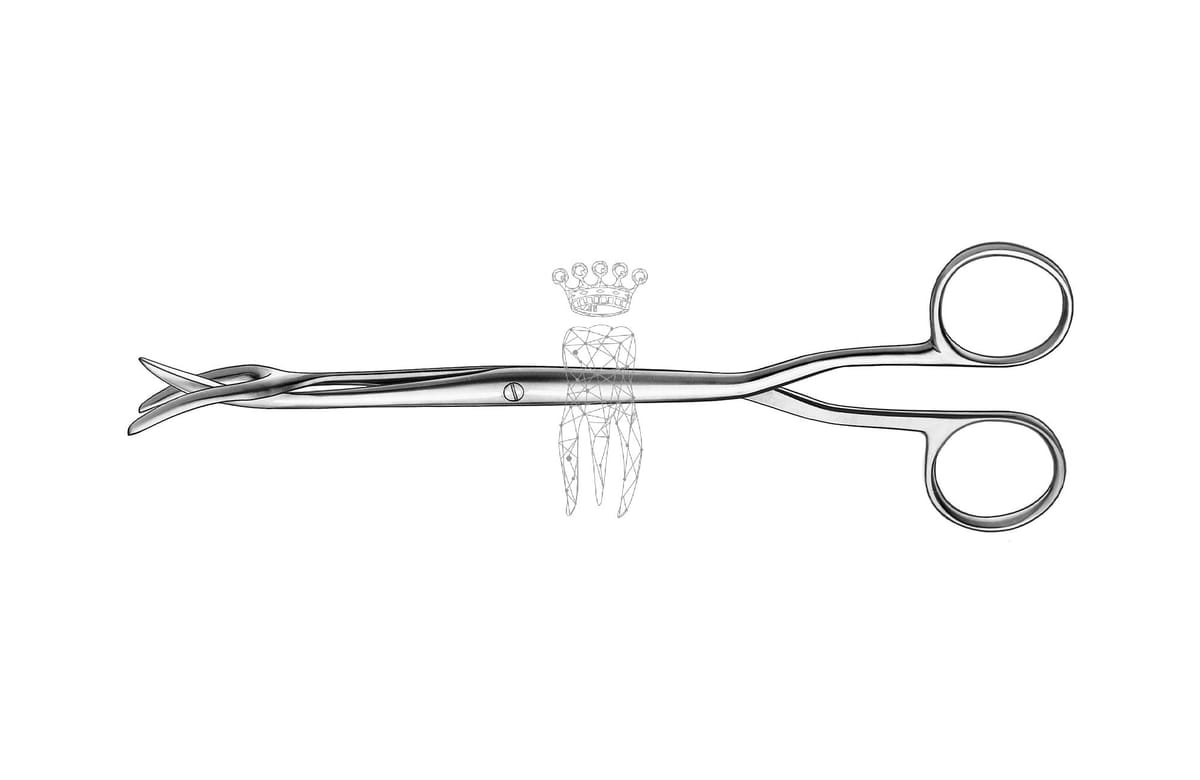 Sterilisierzange 19 cm – Carl Martin, Trays, Sterilization Containers and Accessories