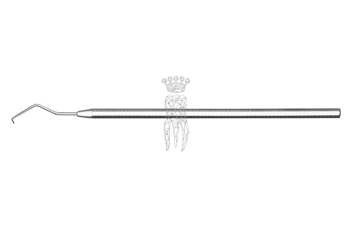 Zahnsonde Häkchen Oktagonal-Griff – Carl Martin, Explorers