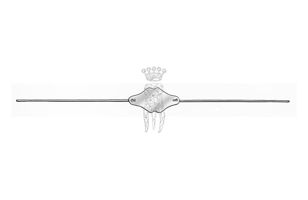 Myrtenblattsonde 1.1mm Bowman / Fistelsonde – Carl Martin, Sonstige chirurgische Instrumente