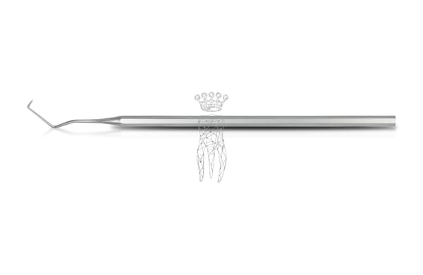 Sonde