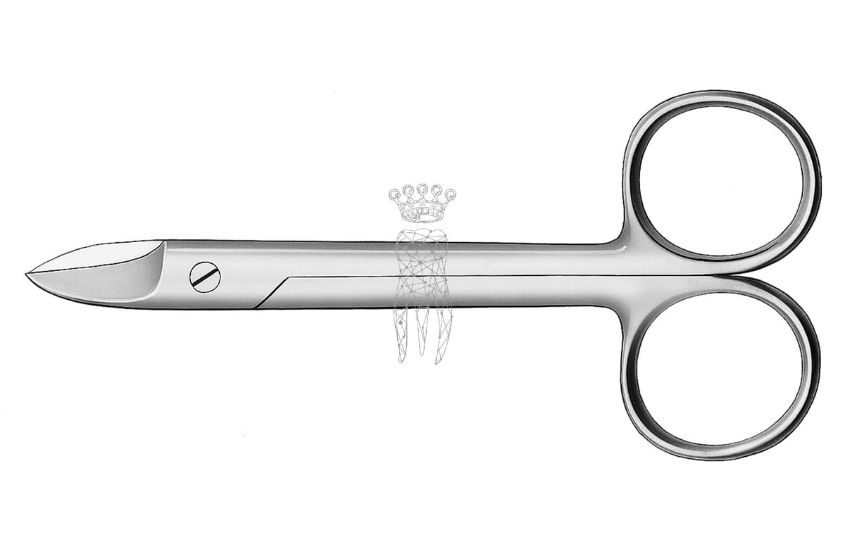 Kronenschere gerade Beebee – Carl Martin, Crown Cutters, Amalgam Removers