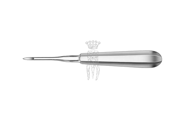 Wurzelrestentferner Heidbrink 2.5mm gerade