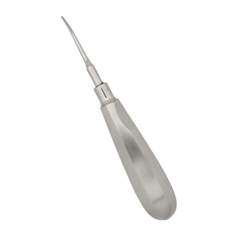 Precision Dental Tool: 2mm Curved Luxating Root Elevator Instrument – Absolute Sport Srl Skeema Dental Italia, Elevators