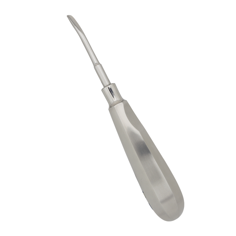 Precision Dental Tool: 5mm Curved Luxating Root Elevator Instrument – Absolute Sport Srl Skeema Dental Italia, Elevators