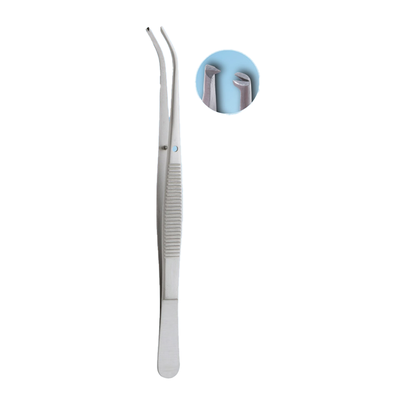 Tissue Forceps: Precision Tool for Surgical Procedures by Semekn Taylor – Absolute Sport Srl Skeema Dental Italia, Tweezers & Forceps