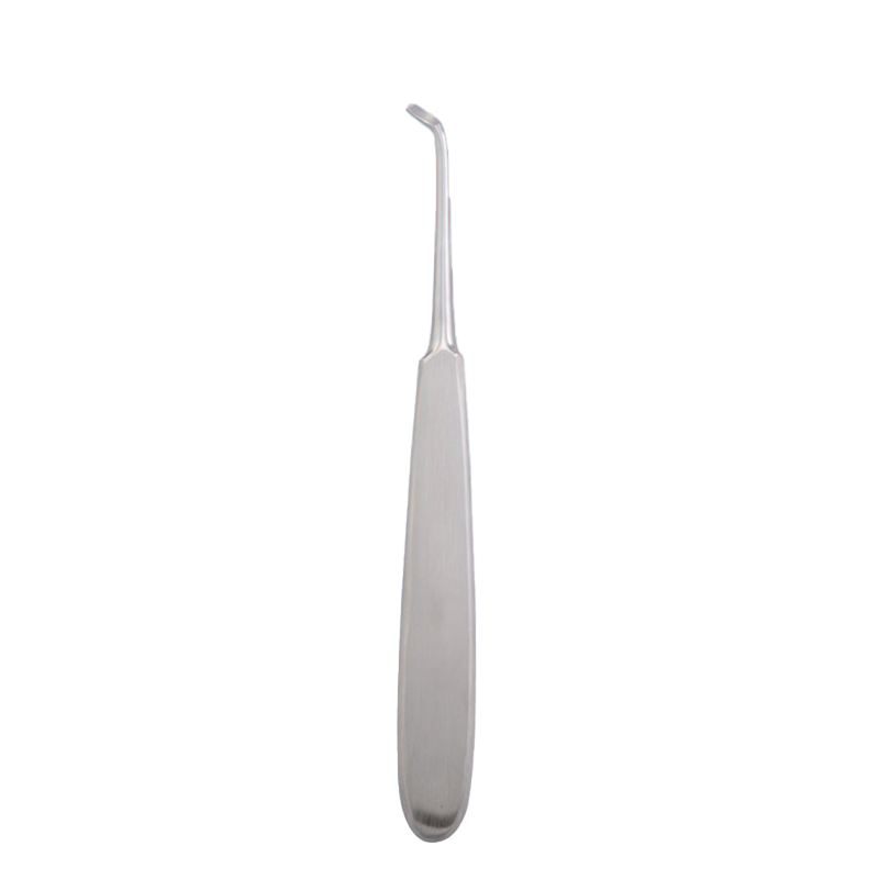 Warwick James Right Root Elevator: Precision Dental Extraction Instrument – Absolute Sport Srl Skeema Dental Italia, Elevators