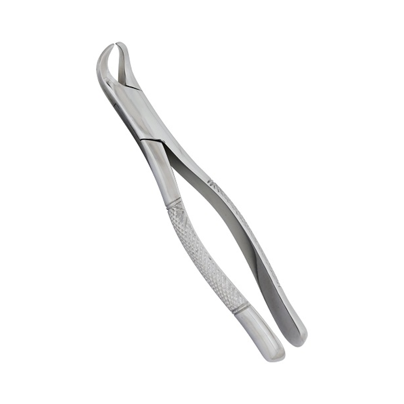 Efficient Extraction: Fig 23CH Cowhorn Forceps for Dental Procedures