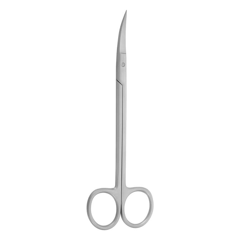 Precision Cuts: 16cm Curved Kelly Dental Surgical Scissors