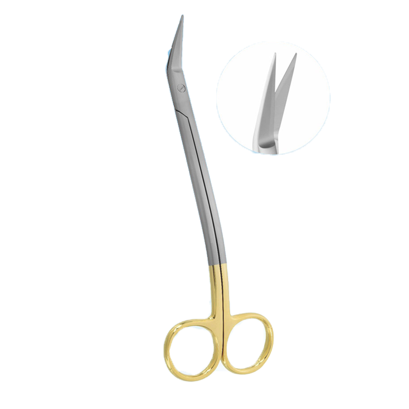 Precision Cuts: 17cm Curved Dean Tonsil TC Surgical Scissors – Absolute Sport Srl Skeema Dental Italia, Scissors & Needle Holders