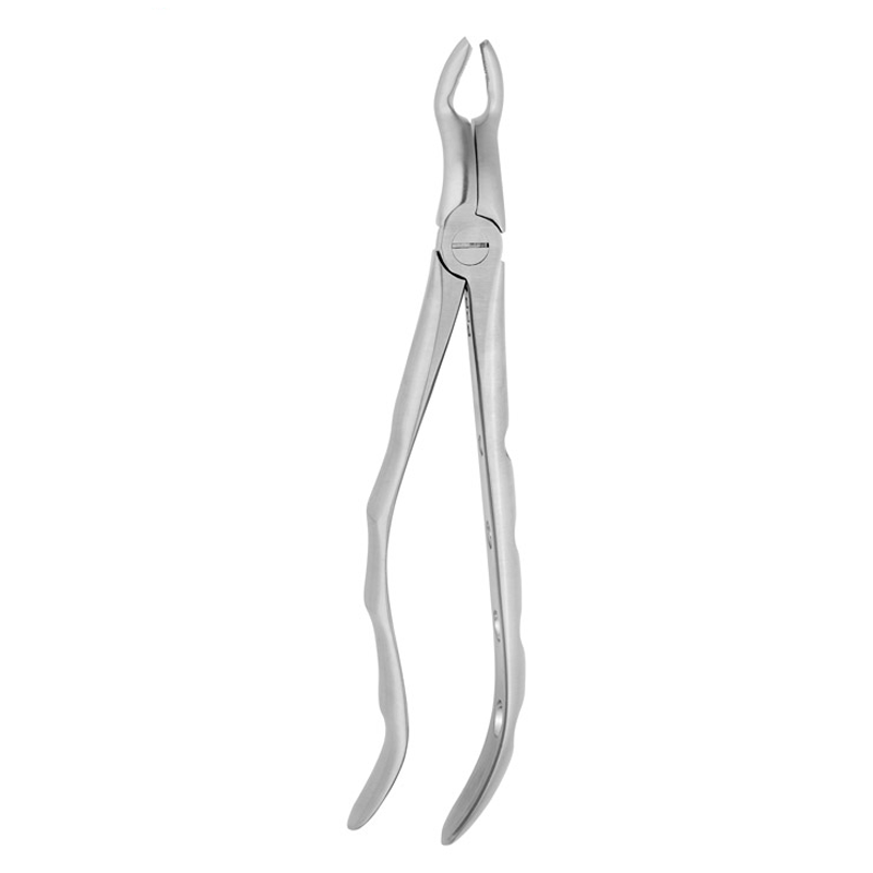 Precision Extraction: Upper Third Molars Fig 67 Forceps Solution – Absolute Sport Srl Skeema Dental Italia, Extraction Forceps