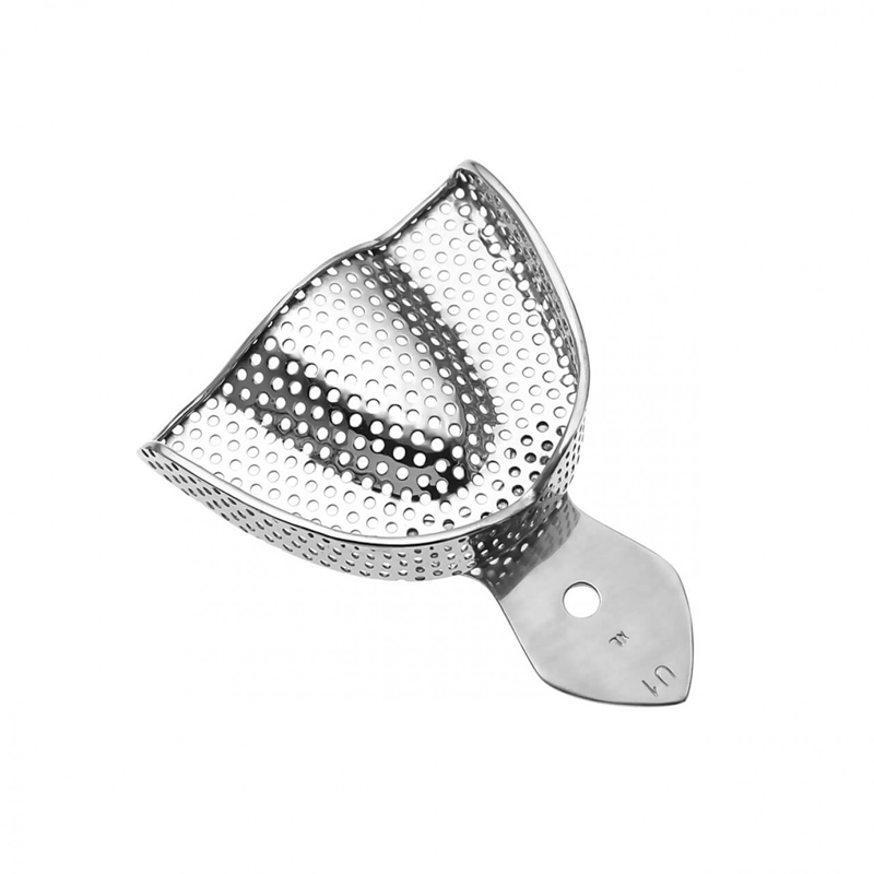 Perforated XL Upper Impression Tray: Precision Fit for Dental Impressions – Absolute Sport Srl Skeema Dental Italia, Impression Trays & Accessories