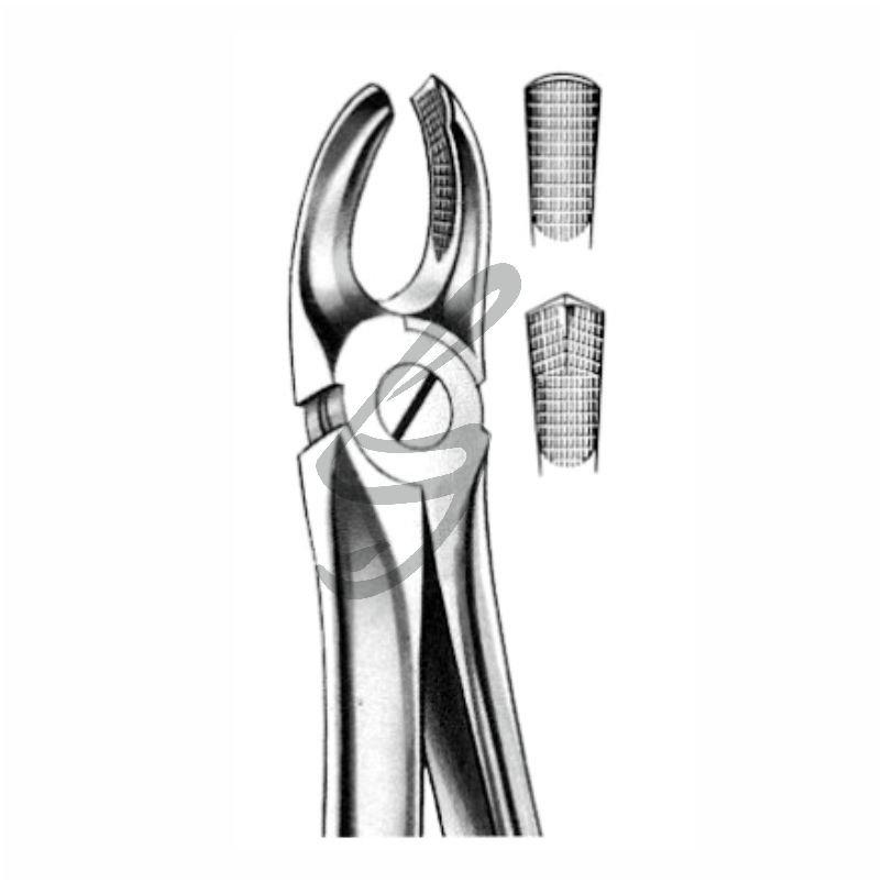 Zahnzange Fig 18 – Soligs, Extraction Forceps