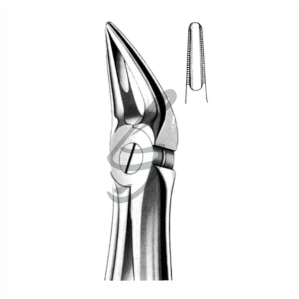 Zahnzange Fig 30