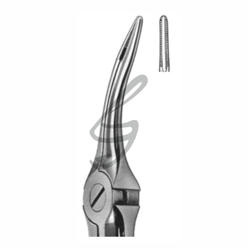 Zahnzange Fig 49 – Soligs, Extraction Forceps