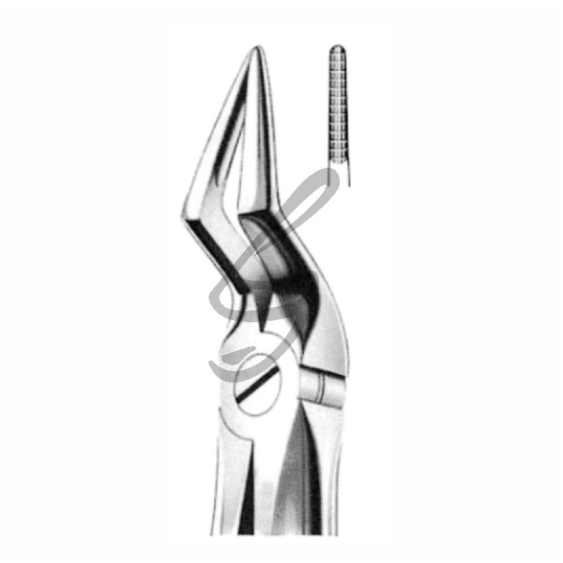 Zahnzange Fig 51A – Soligs, Extraction Forceps