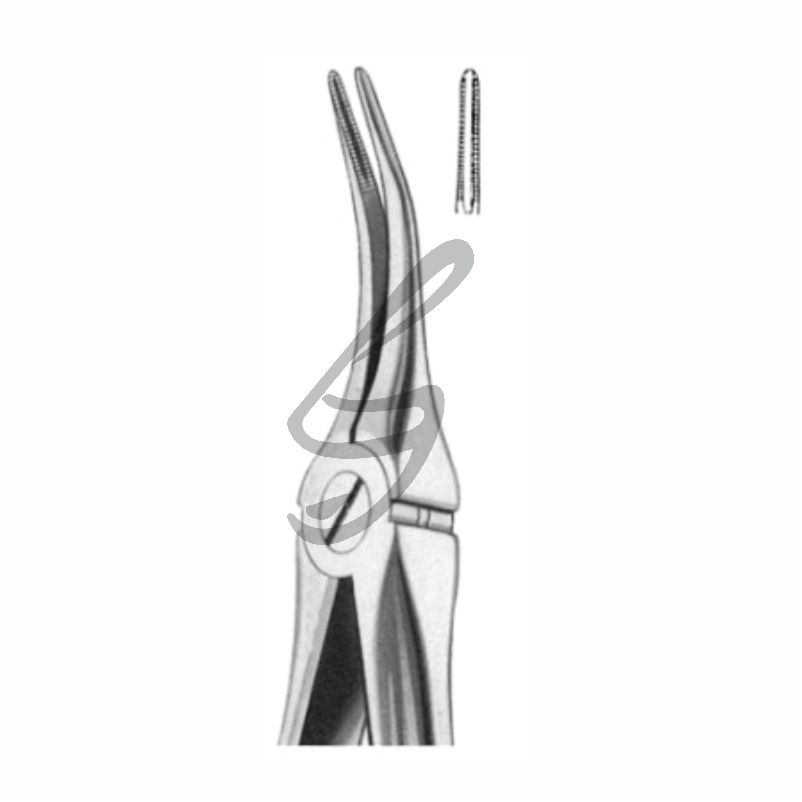 Zahnzange Fig 149 – Soligs, Extraction Forceps