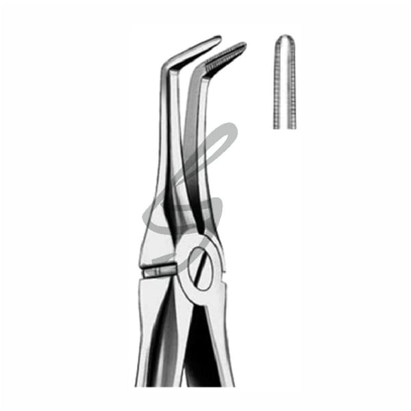 Zahnzangen Fig 146