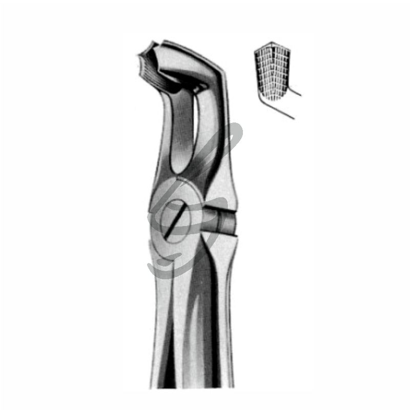 Zahnzange Fig 79 – Soligs, Extraction Forceps