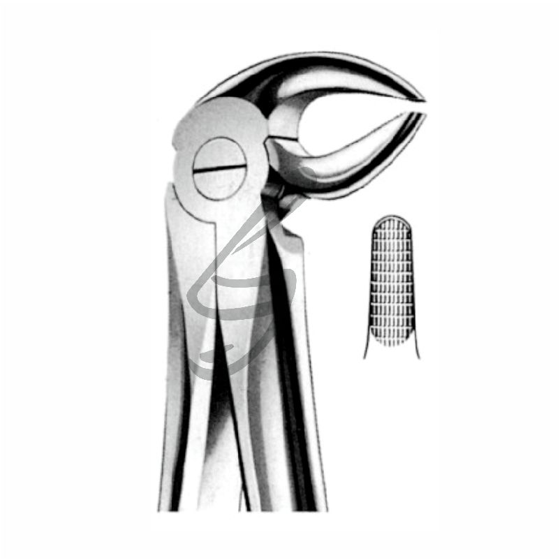 Zahnzange Fig 13 – Soligs, Extraction Forceps