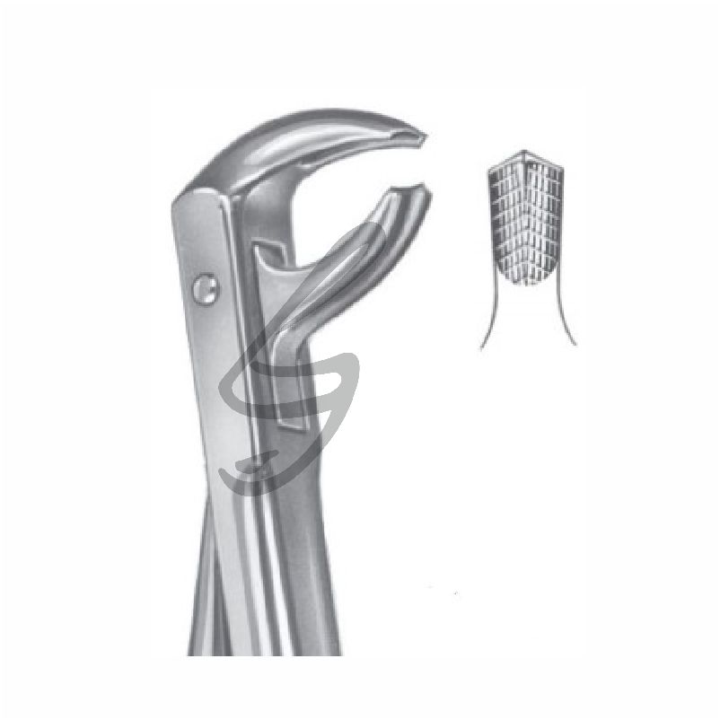 Zahnzange Fig 73 – Soligs, Extraction Forceps