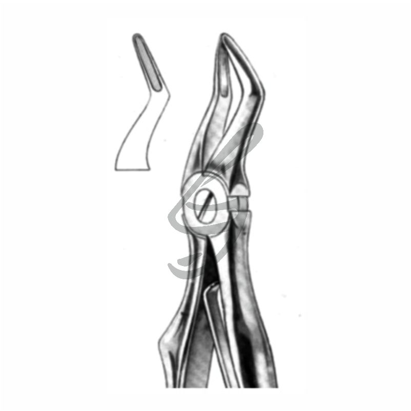 Kinder-Zahnzange Fig 51S