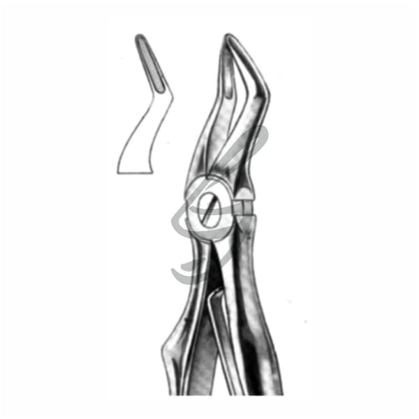 Kinder-Zahnzange Fig 51S