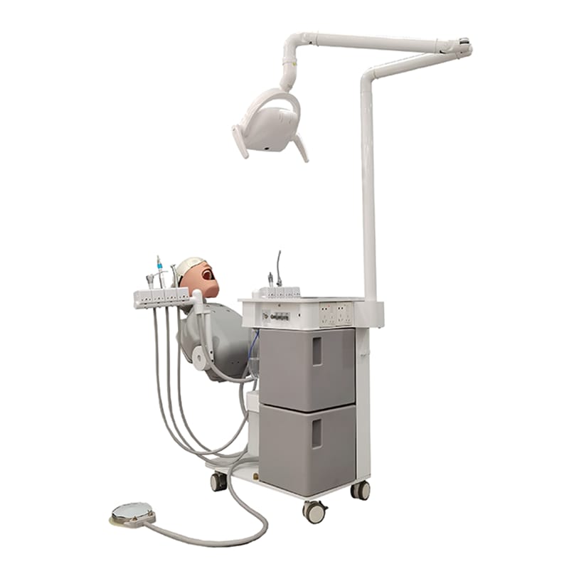 Oral Cavity Model Dental Simulator – JG-A15-1 – FOSHAN JINGLE MEDICAL EQUIPMENT CO.,LTD., Other Equipment