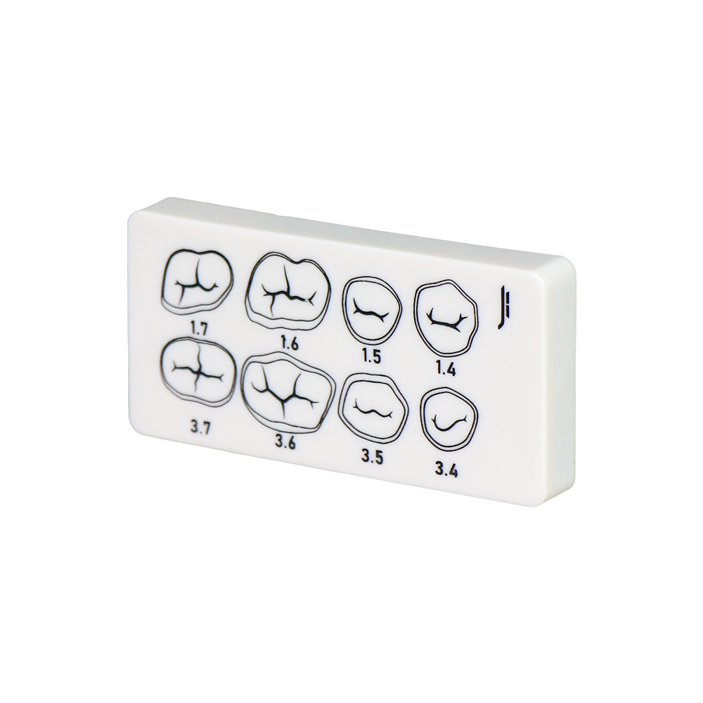 3-Layer Resin Tooth Preparation Practice Board | Jinglemed JG-SD – FOSHAN JINGLE MEDICAL EQUIPMENT CO.,LTD., Demonstration Models
