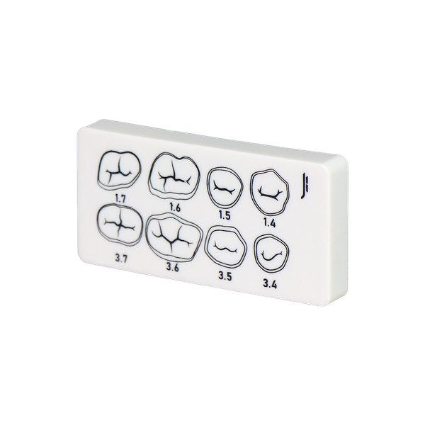 3-Layer Resin Tooth Preparation Practice Board | Jinglemed JG-SD
