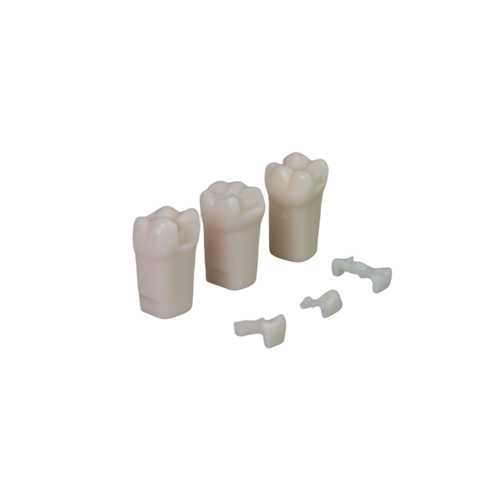 Refill teeth(Adjacent surface inlay） JG-YS7-LQ – FOSHAN JINGLE MEDICAL EQUIPMENT CO.,LTD., Demonstration Models